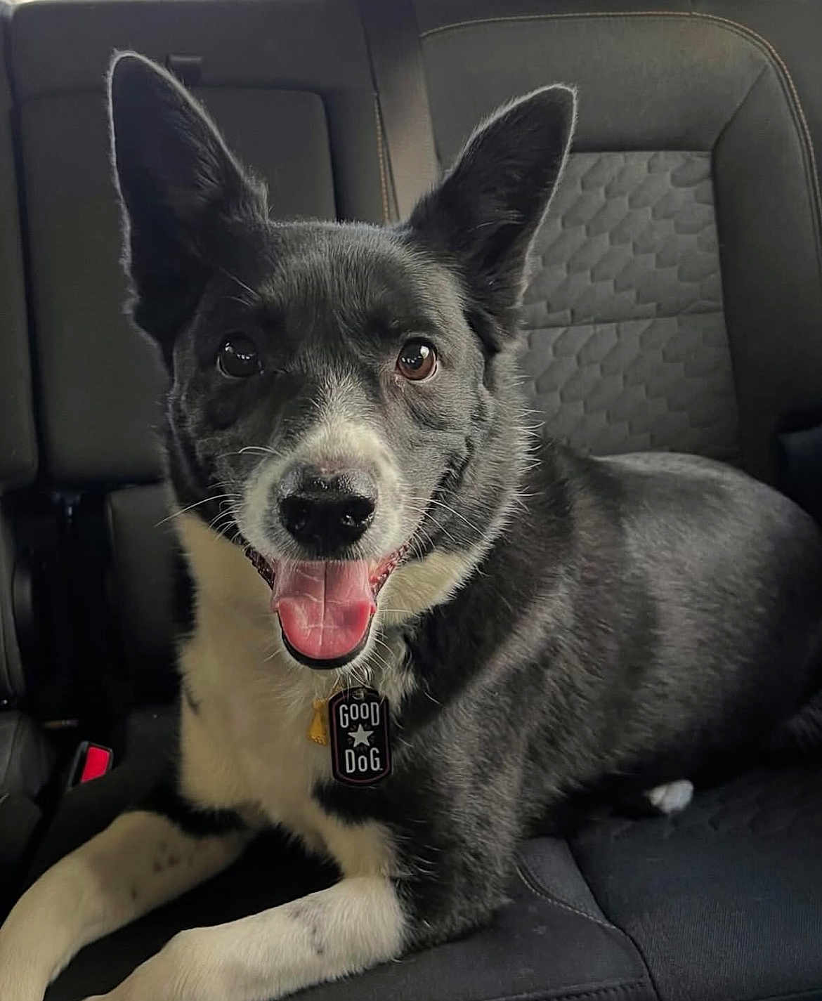 Odin