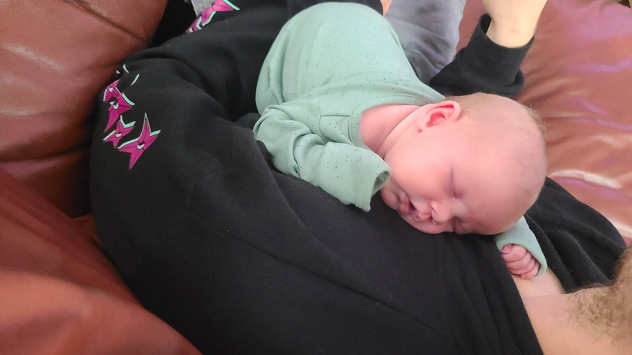 Emery joined the competition — help win amazing prizes! abdomen, baby, chest, comfort, elbow, finger, gesture, grass, human_leg, joint, knee, nail, neck, person, plant, sleeve, thigh, toddler, tree, trunk