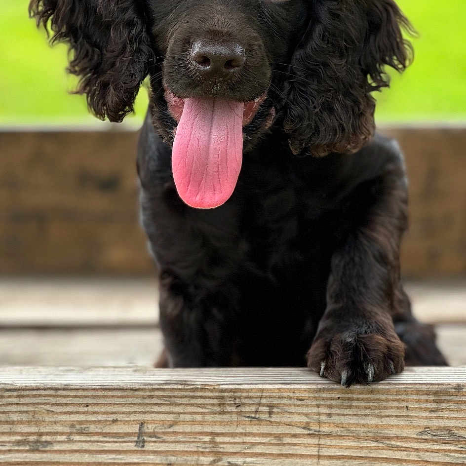 Ellie