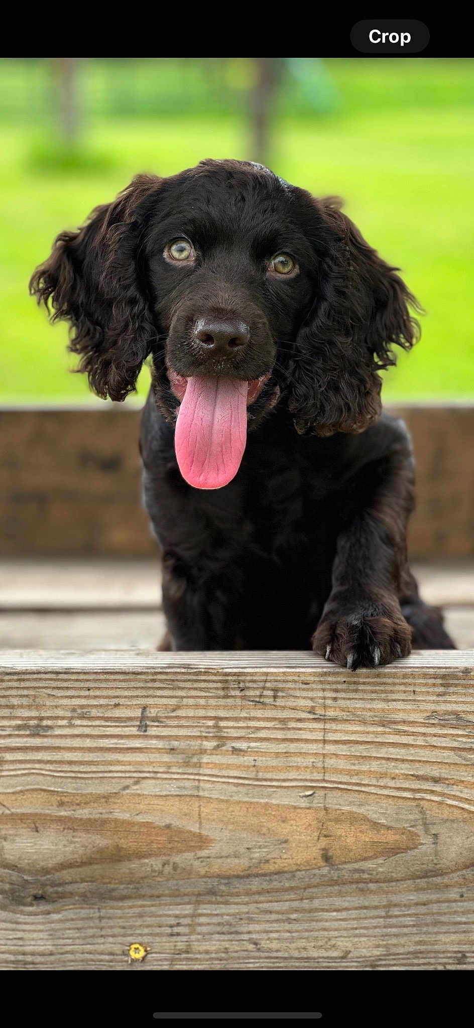 Ellie