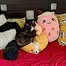 animal, bed, black_and_white_cat, bubble_tea_plush, cat, cozy, cushion, cute, dog_plush, headboard, indoor, leaf_pattern, pillow, plush_toy, red_bedspread, resting, sleeping_cat, soft_toys, stuffed_animal, yellow_pillow