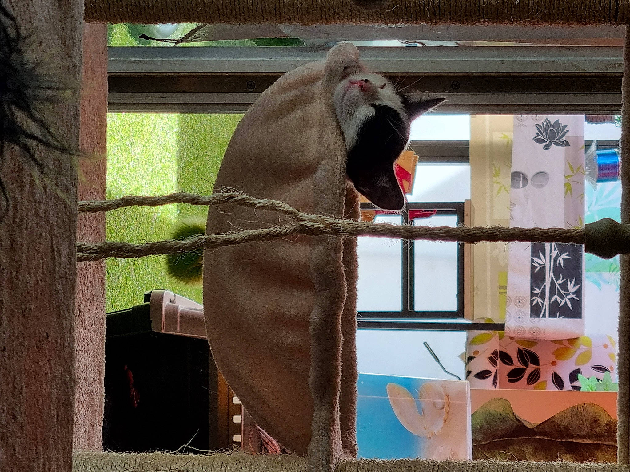 Bounty participe au concours pour gagner de l'argent avec cette photo : art, bridle, building, door, fawn, horse_supplies, horse_tack, liver, pack_animal, pet_supply, rectangle, shade, snout, sporting_group, stallion, terrestrial_animal, tints_and_shades, window, wood, working_animal