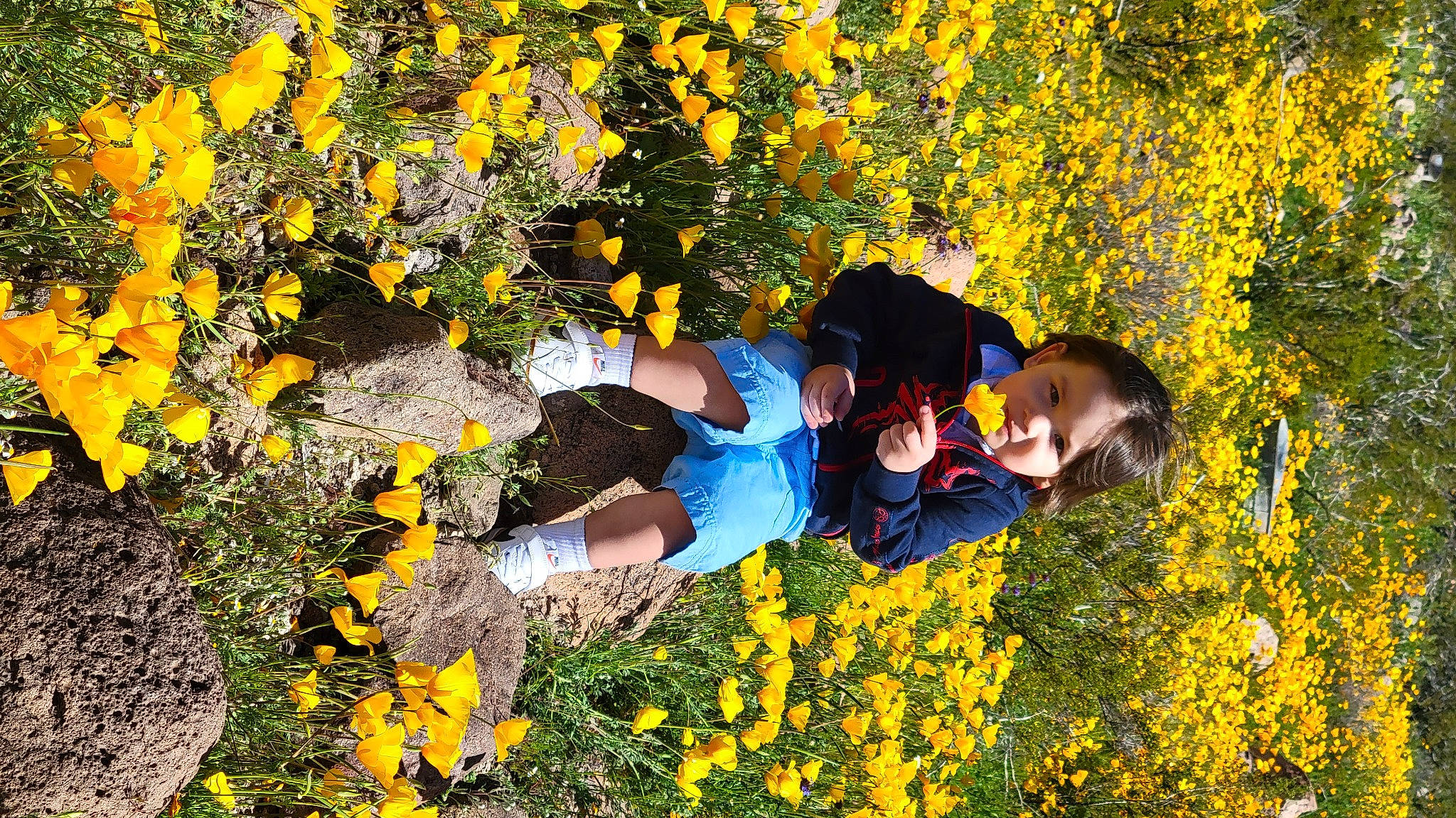 Jaylen is registered to the contest to win money with this photo: deciduous, electric_blue, flower, flowering_plant, fun, grass, grassland, groundcover, happy, landscape, leaf, leisure, meadow, natural_landscape, people_in_nature, person, petal, plant, smile, woody_plant