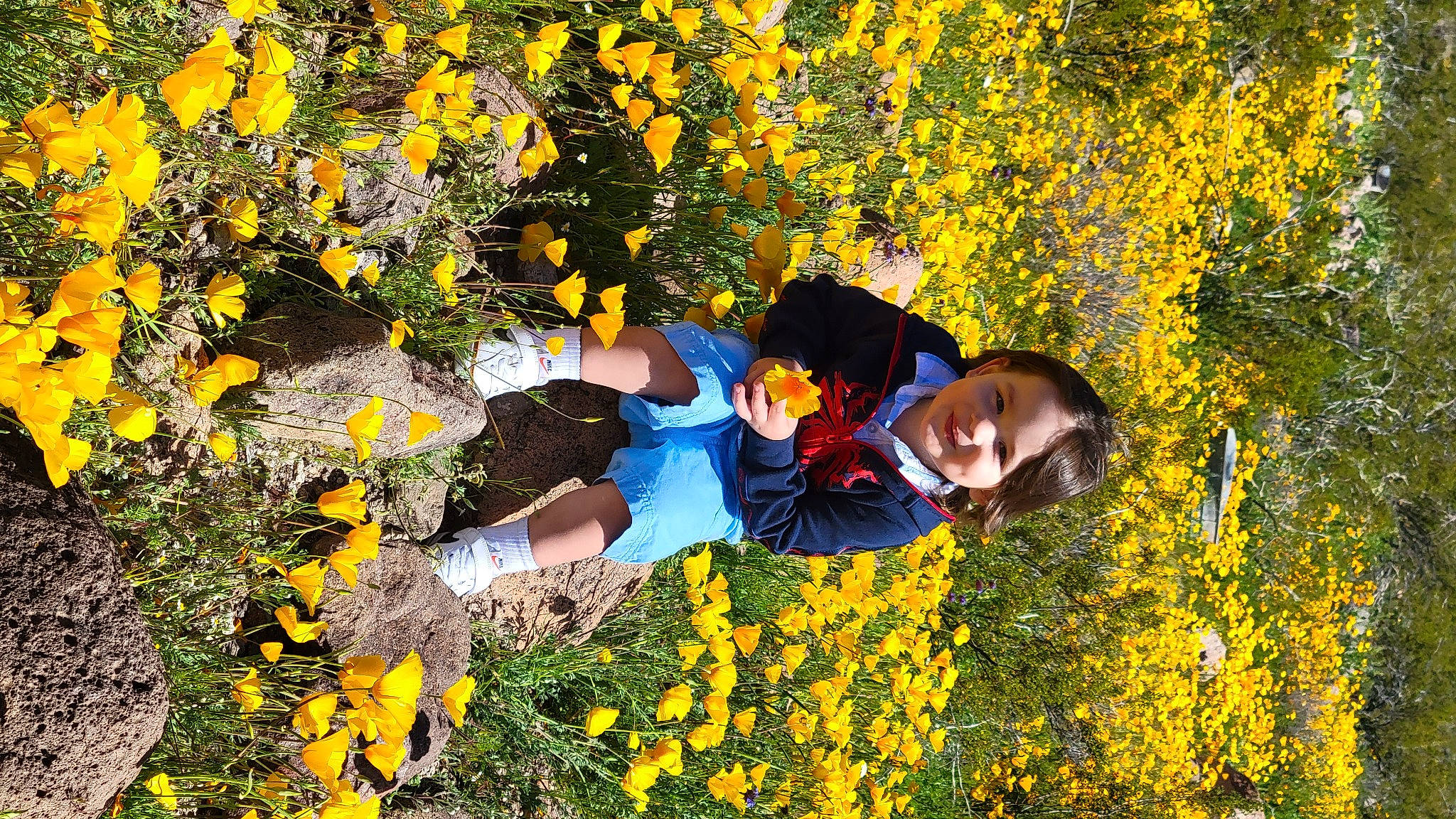 Jaylen is registered to the contest to win money with this photo: annual_plant, botany, ecoregion, electric_blue, field, flower, flowering_plant, grass, groundcover, happy, joy, landscape, leaf, meadow, natural_landscape, nature, people_in_nature, person, plant, smile