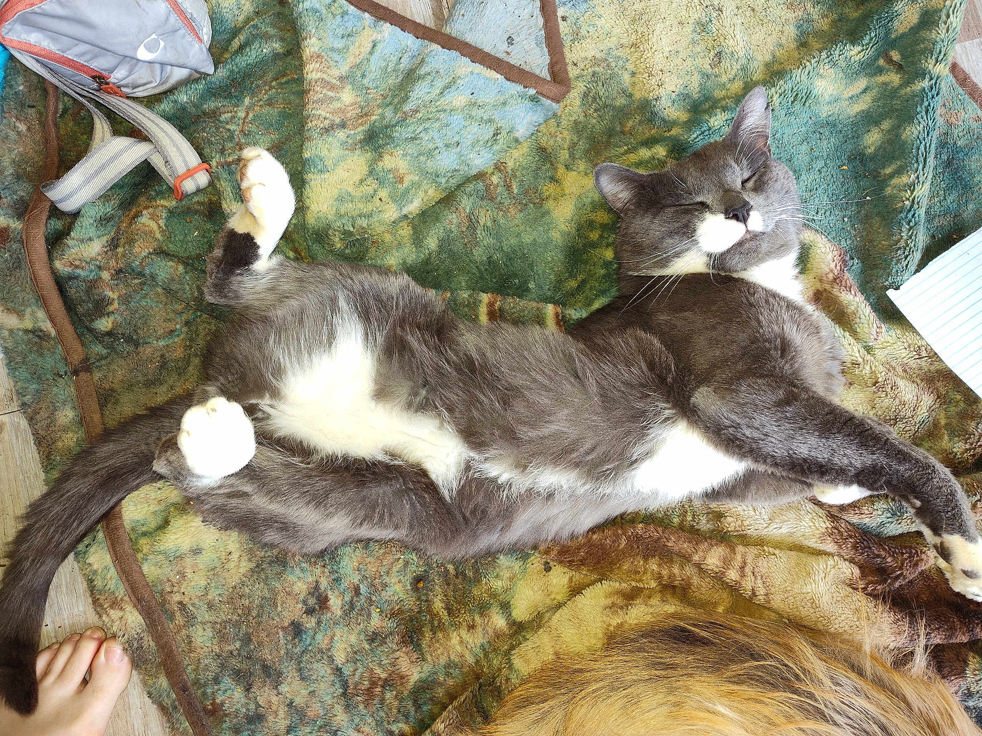 Charlie