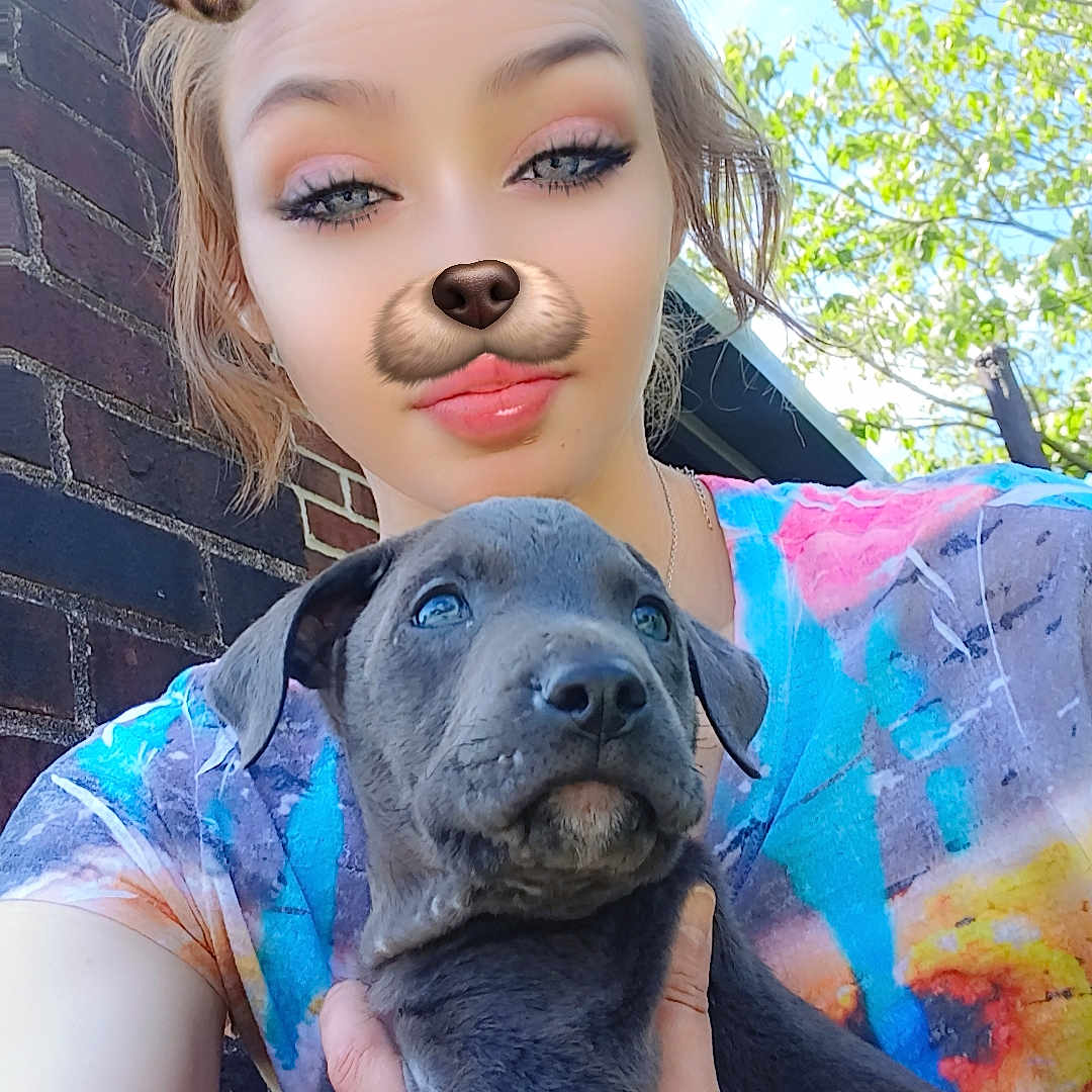 Toby Toberson joined the competition — help win amazing prizes! blue_sky, brick_wall, casual_clothing, colorful_shirt, cute, daylight, dog, dog_filter, hand, happy, leafy_background, nature, outdoor, person, pet, portrait, puppy, selfie, smiling, young_adult