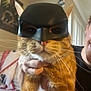 Triggs is registered to the contest to win money with this photo: cat, orange_tabby, mask, batman_mask, pet, indoor, person_hand, face_mask, whiskers, fur, animal, cute, funny, costume, bedroom, wall_art, human, holding, close_up, playful