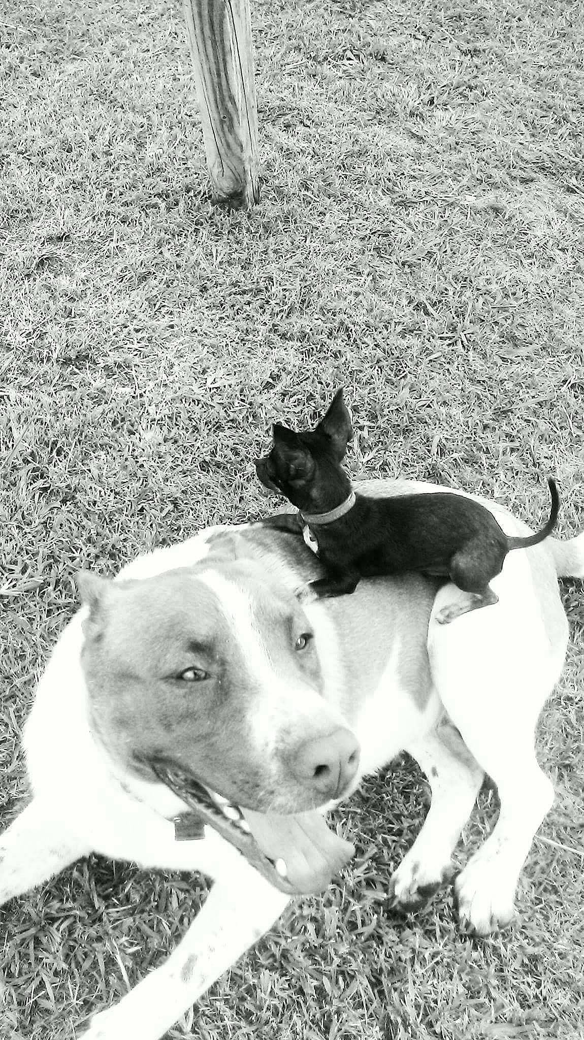 Titan joined the competition — help win amazing prizes!