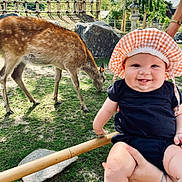 Alice a rejoint le concours — aidez-le/la à gagner de superbes lots ! baby, child, smiling, outdoor, deer, grass, rocks, bamboo_fence, hat, bonnet, person, nature, animal, happy, greenery, sunlight, portrait, holding, cute, tongue_out