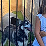 animal, backyard, blue_eyes, casual_clothing, child, dog, dog_house, fence, girl, grass, happy, husky, metal_bars, outdoor, pet, portrait, smile, sunlight, wall, young