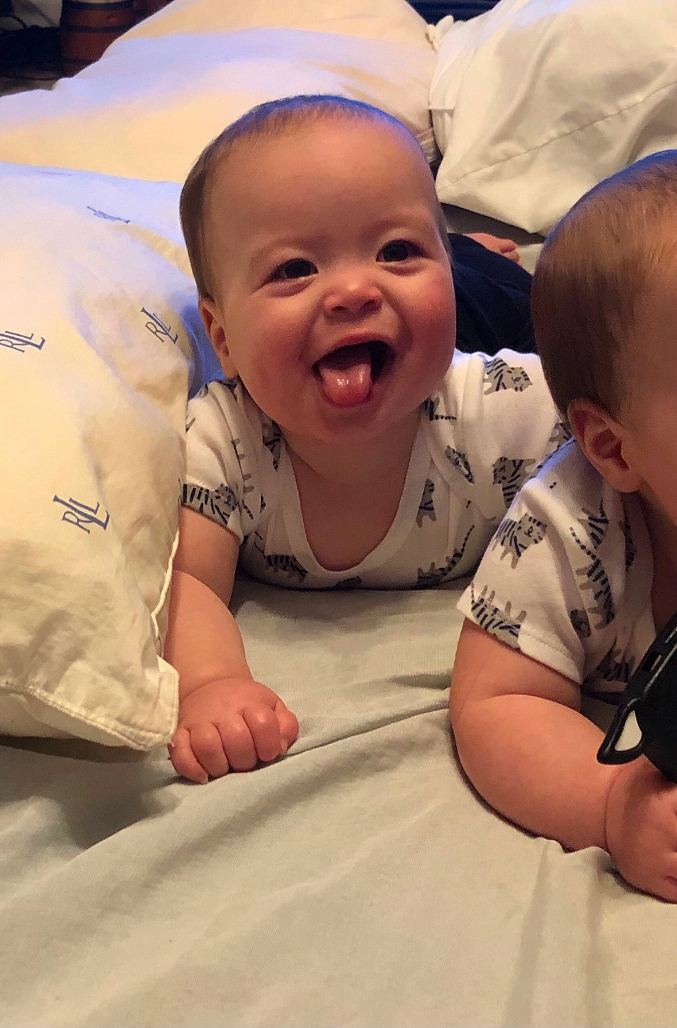 Bruce is registered to the contest to win money with this photo: baby, cheek, child, head, laugh, nose, person, smile, toddler