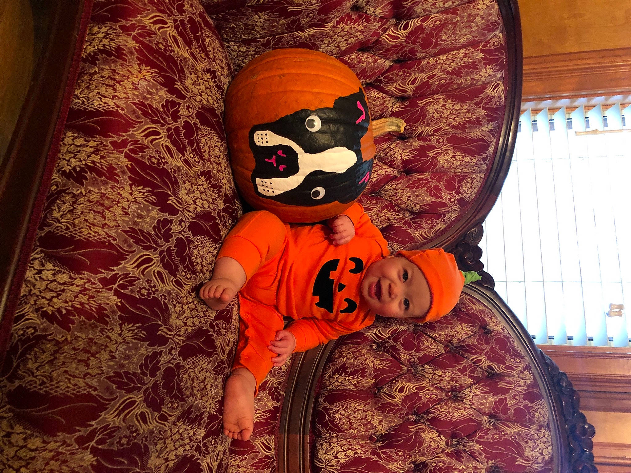 Bruce is registered to the contest to win money with this photo: costume, glasses, headgear, headwear, orange, person, plush, pumpkin, stuffed_toy, toy