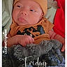Orrian joined the competition — help win amazing prizes! newborn, baby, infant, child, portrait, face, eyes_open, beanie, mustard_clothing, onesie, blanket, plush_toy, gray_plush, bed, bedding, cozy, indoors, lying_down, text_overlay, friday