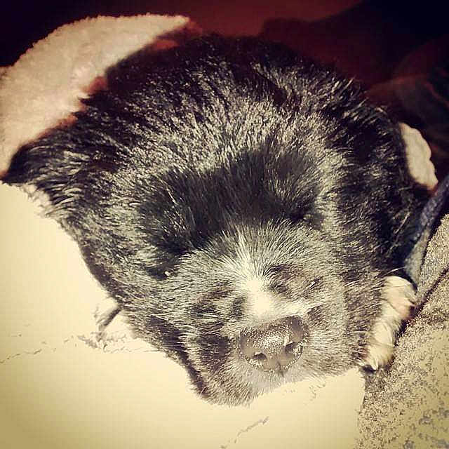 Maggie is registered to the contest to win money with this photo: