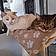 Prune Et Junior