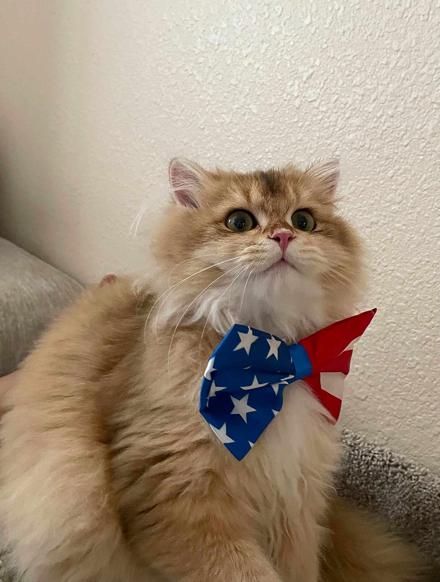 Samson
