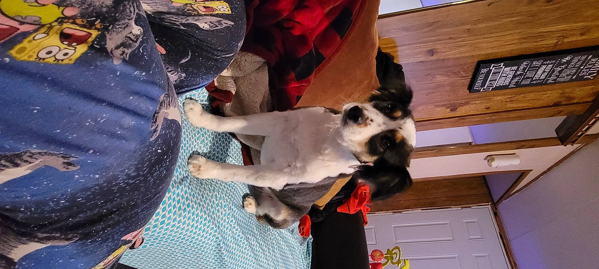 Ryder joined the competition — help win amazing prizes! canidae, carmine, carnivore, companion_dog, dog, dog_breed, event, fawn, felidae, fun, fur, non_sporting_group, small_to_medium_sized_cats, sporting_group, working_animal