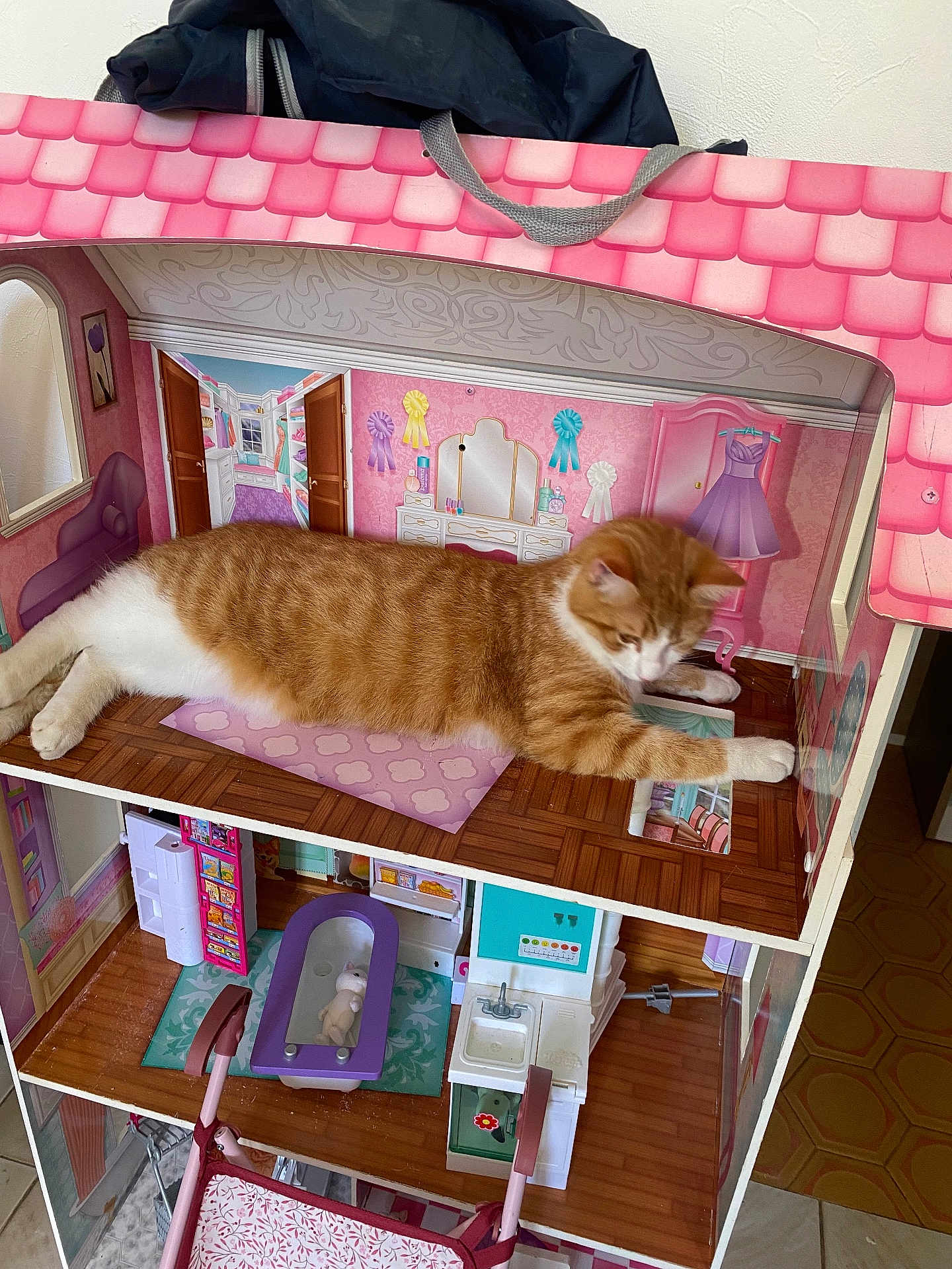 Fripouille a rejoint le concours — aidez-le/la à gagner de superbes lots ! cat, orange_cat, dollhouse, toy, miniature, indoor, pet, feline, playful, colorful, furniture, floor, bathtub, sink, door, wallpaper, house, relaxing, animal, cute