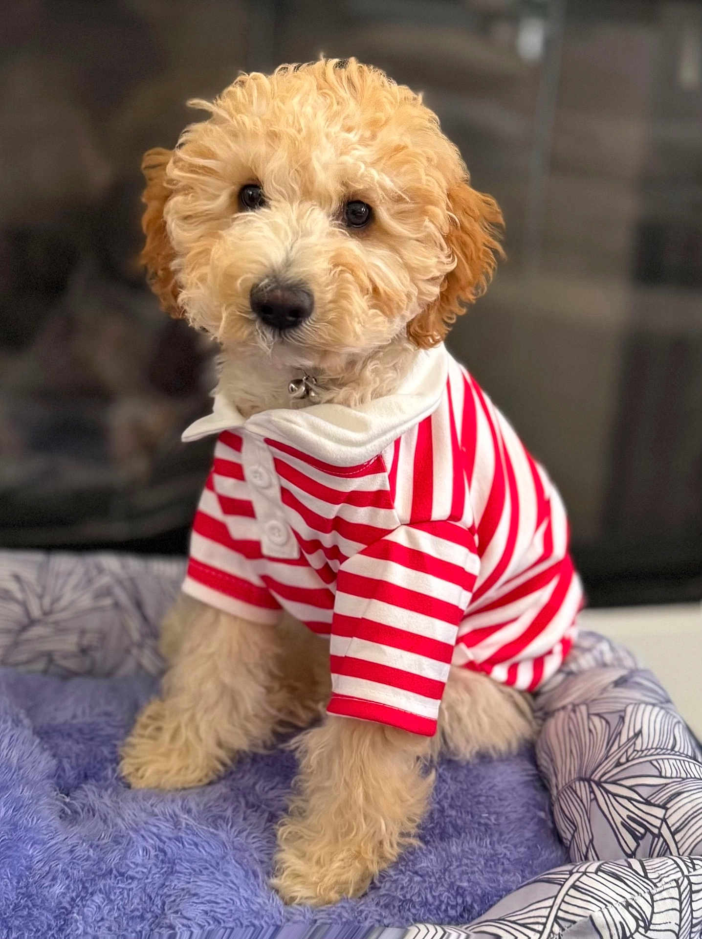 Churro