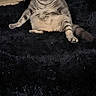 cat, gray_tabby, sitting, black_rug, wooden_floor, indoor, pet, feline, fur, ears, eyes, tail, basket, shelf, cable, home_interior, flooring, animal, relaxed, looking_at_camera