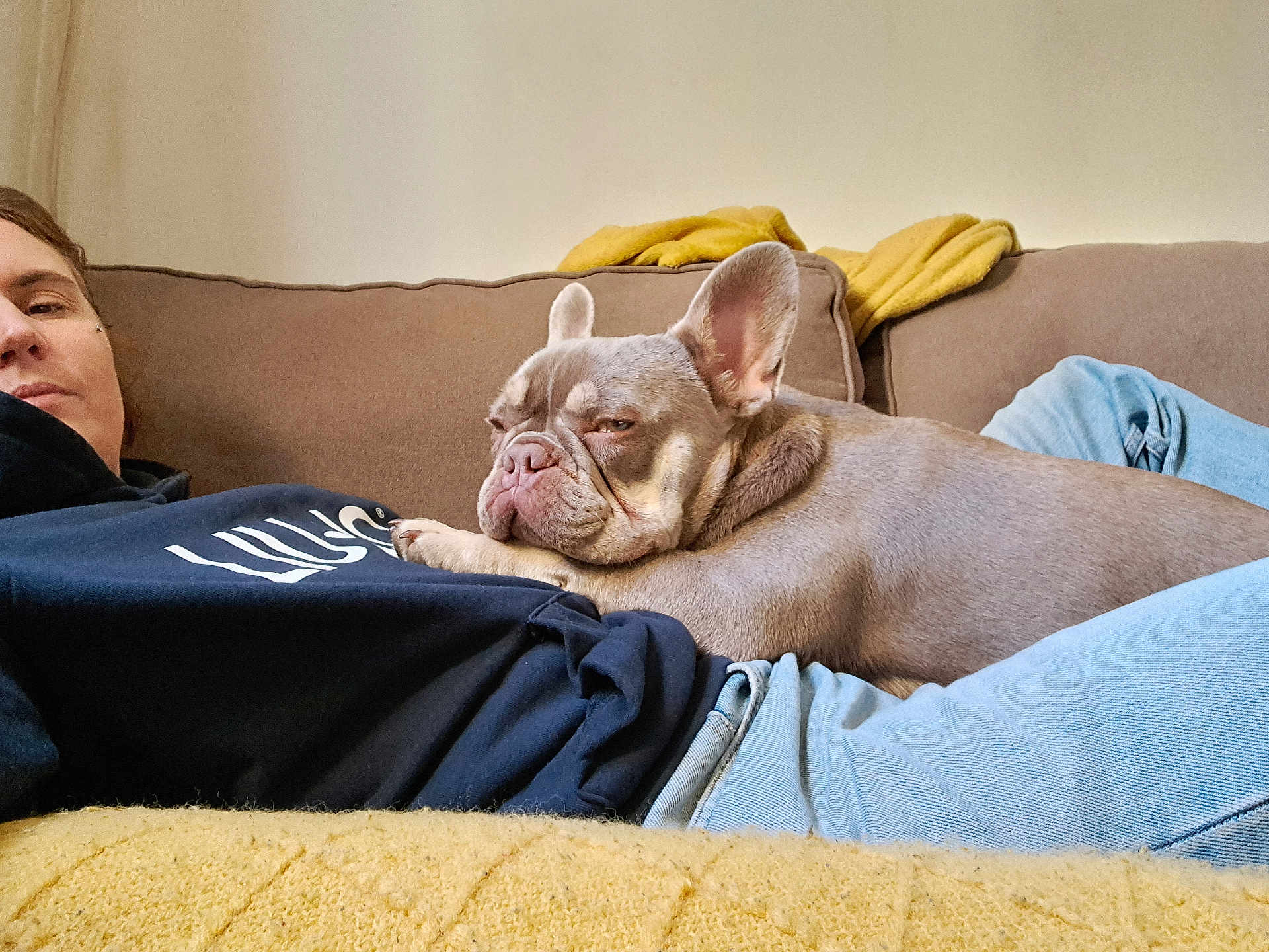 Gnocchi participe au concours pour gagner de l'argent avec cette photo : person, dog, french_bulldog, couch, blanket, relaxing, indoor, casual_clothing, jeans, hoodie, pet, resting, cozy, brown_couch, light, ear, face, comfort, home, sleepy