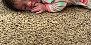 Kleo joined the competition — help win amazing prizes! baby, sleeping, carpet, onesie, infant, child, floor, cozy, indoor, person, hand, face, hair, footwear, furniture, room, carpet_texture, peaceful, soft, resting