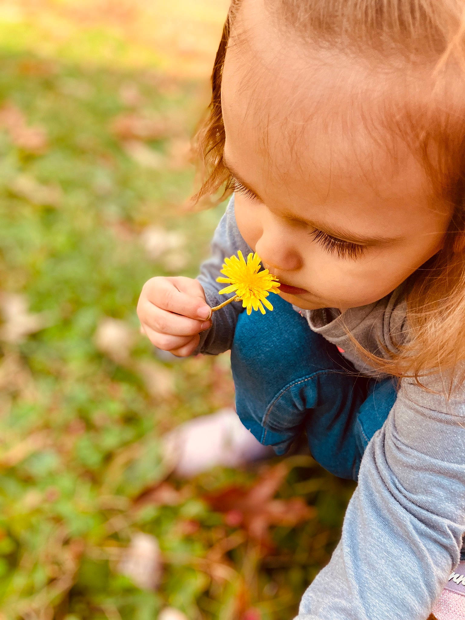 Madelynn is registered to the contest to win money with this photo: baby_toddler_clothing, brown_hair, child, facial_expression, flower, flowering_plant, fun, grass, grassland, hand, happy, leaf, meadow, people_in_nature, person, petal, plant, play, sitting, thumb