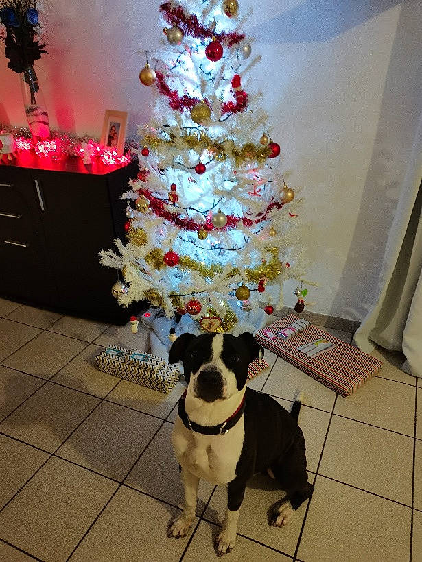 Max