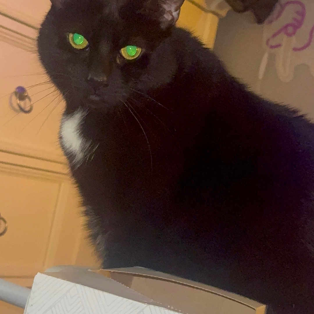 Smush