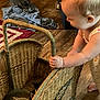 Maysie is registered to the contest to win money with this photo: toddler, child, basket, wicker, indoor, floor, wooden_floor, dress, polka_dot, patterned_rug, curious, baby, hand, foot, home, playing, furniture, fabric, colorful, candid