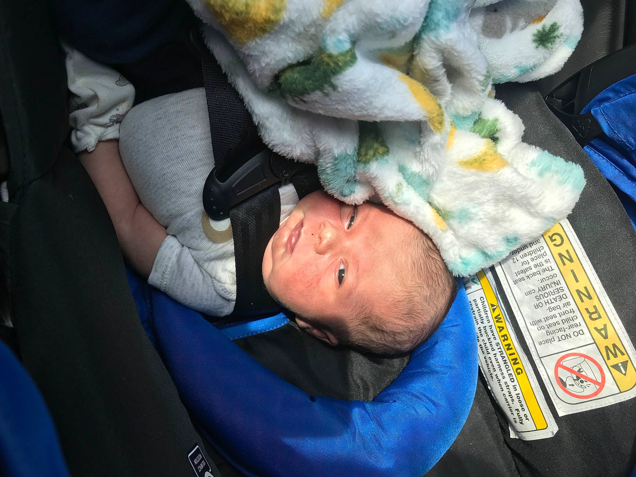 Jae is registered to the contest to win money with this photo: baby, baby_products, bedtime, blanket, car_seat, child, comfort, electric_blue, fun, linens, nap, person, plastic, sitting, sleep, stuffed_toy, toddler, tree