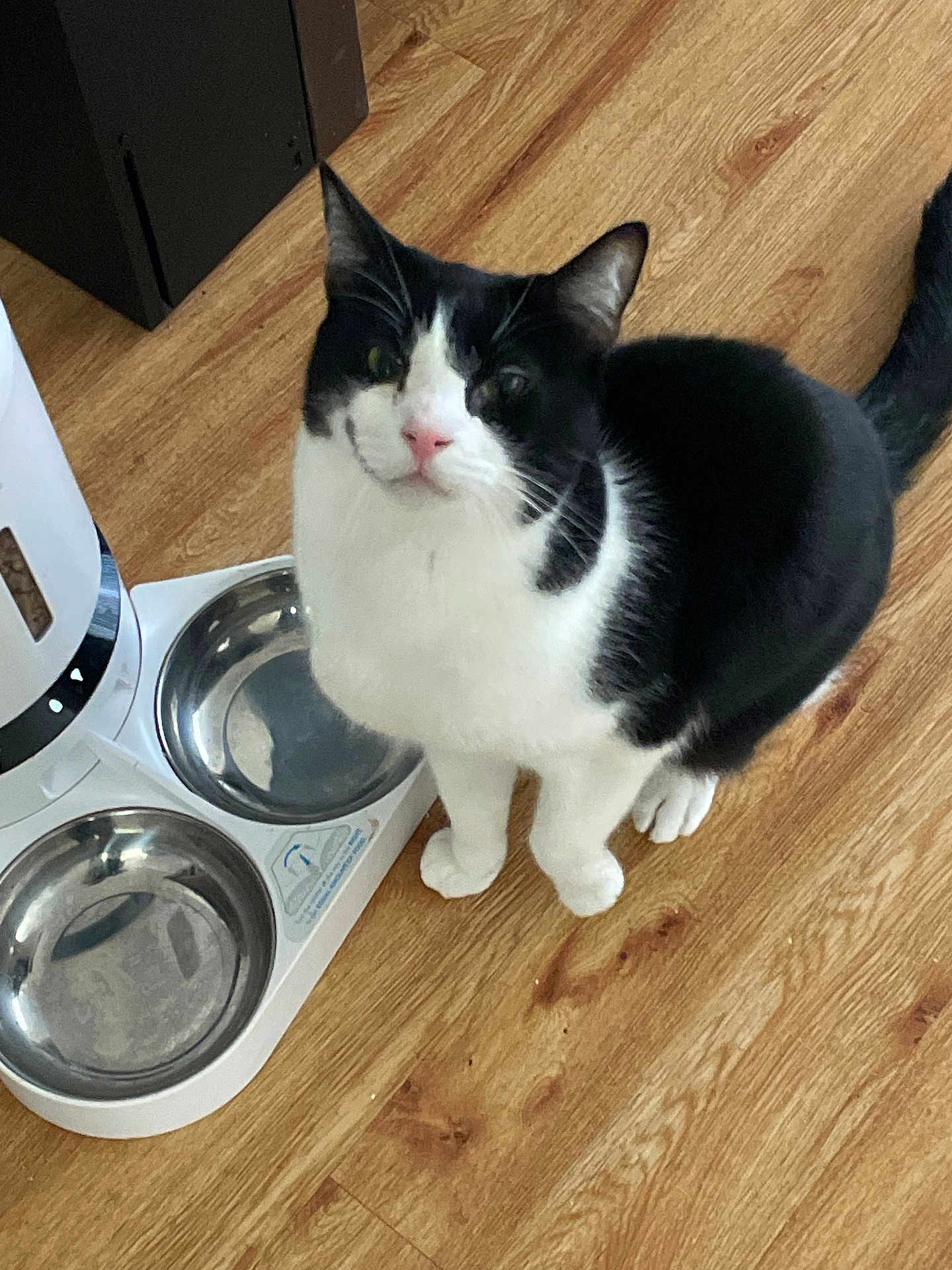 Artemis