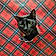 Binx
