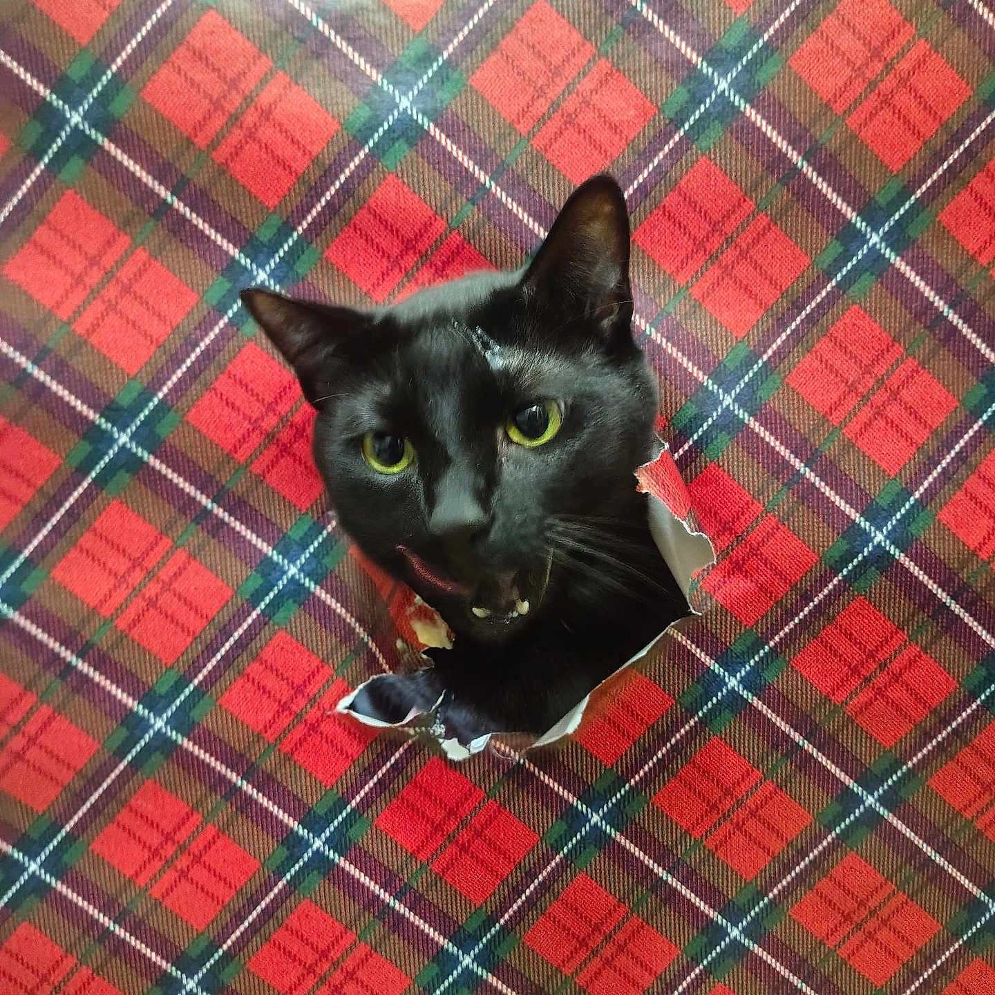 Binx