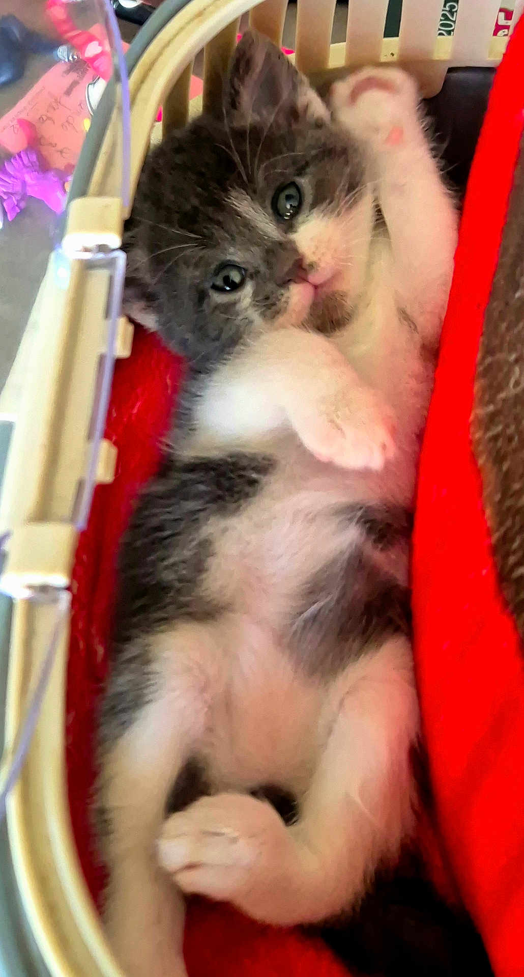 Oscar