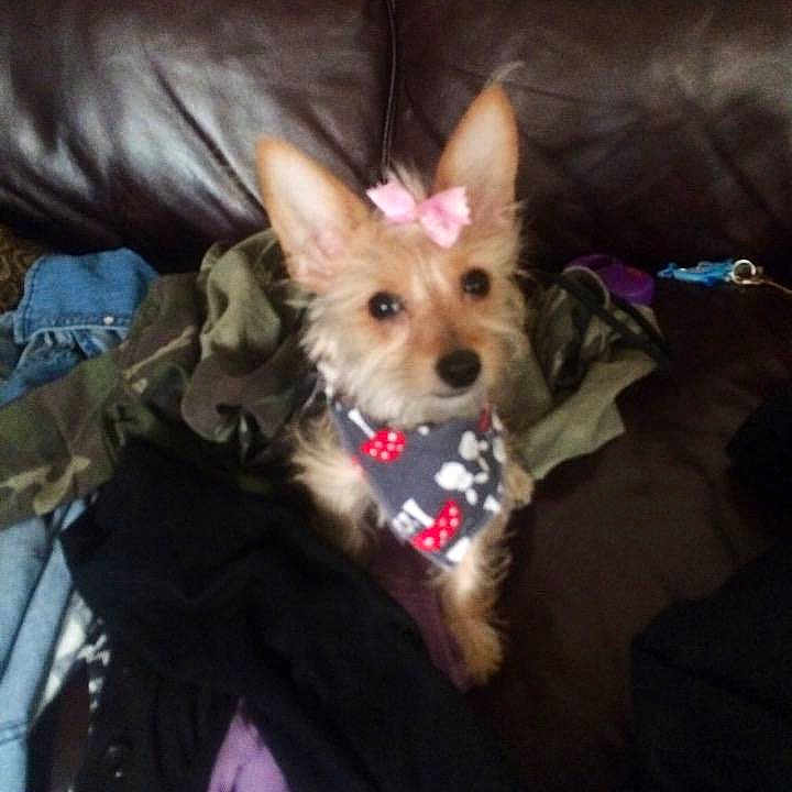 Mya joined the competition — help win amazing prizes!