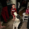 Havoc is registered to the contest to win money with this photo: toddler, dog, cup, kitchen, floor, person, clothing, barefoot, chain_collar, red_shorts, black_white_dog, wood_floor, cabinet, stool, box, indoor, curious, standing, pet, child