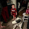 toddler, child, dog, black_and_white_dog, cup, kitchen, wooden_floor, barefoot, red_clothing, adidas, stool, box, person, indoor, flooring, cabinet, dish_rack, playful, curious, pet