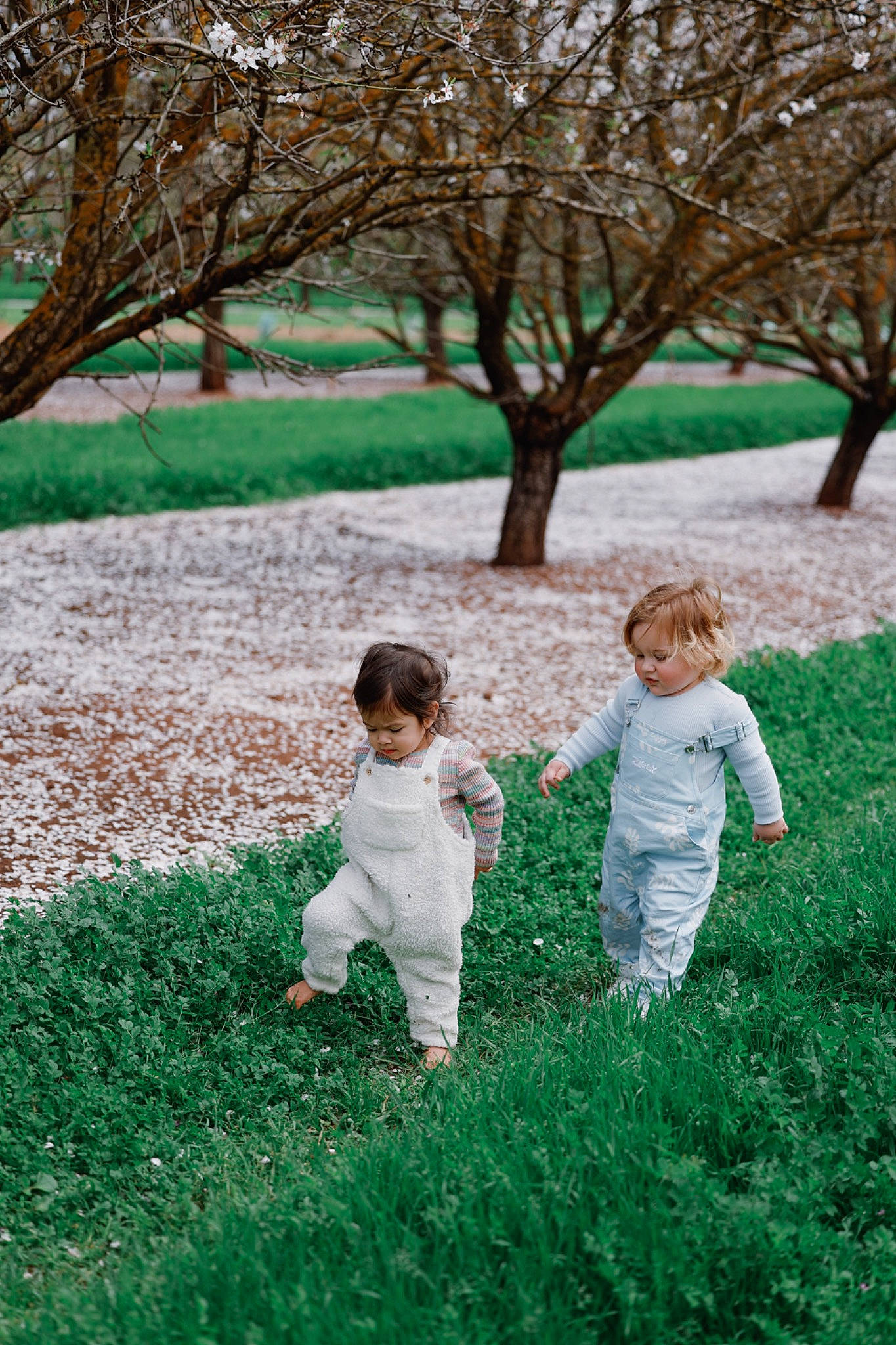 Lincoln joined the competition — help win amazing prizes! baby, child, fun, garden, gesture, grass, grass_family, grassland, green, happy, lawn, leaf, leisure, people_in_nature, person, plant, plantation, play, recreation, toddler