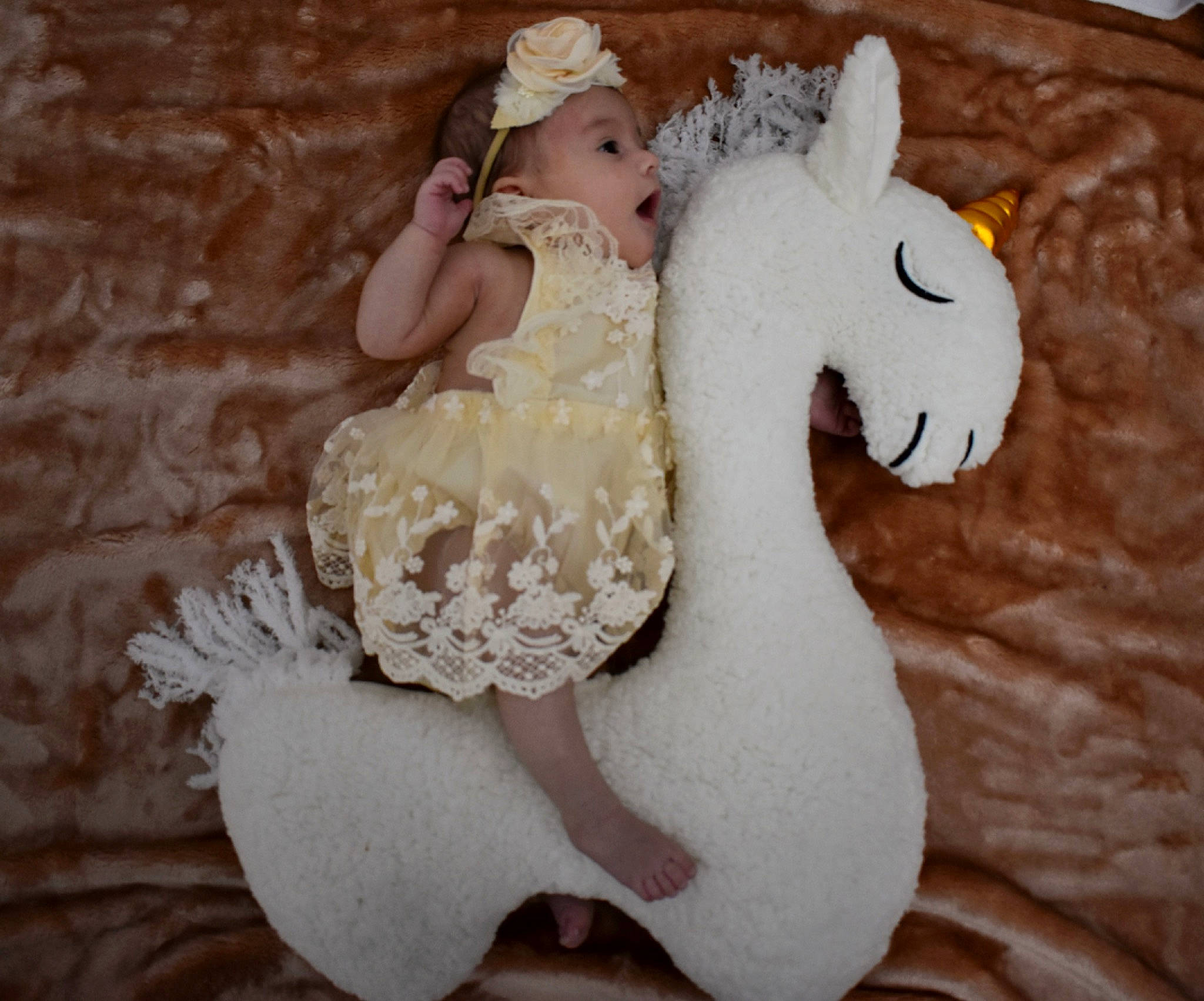 Amari joined the competition — help win amazing prizes! baby_products, bridal_accessory, child, comfort, dress, event, fashion_accessory, fur, gown, head, headpiece, headwear, linens, livestock, pattern, person, petal, plush, stuffed_toy, tail