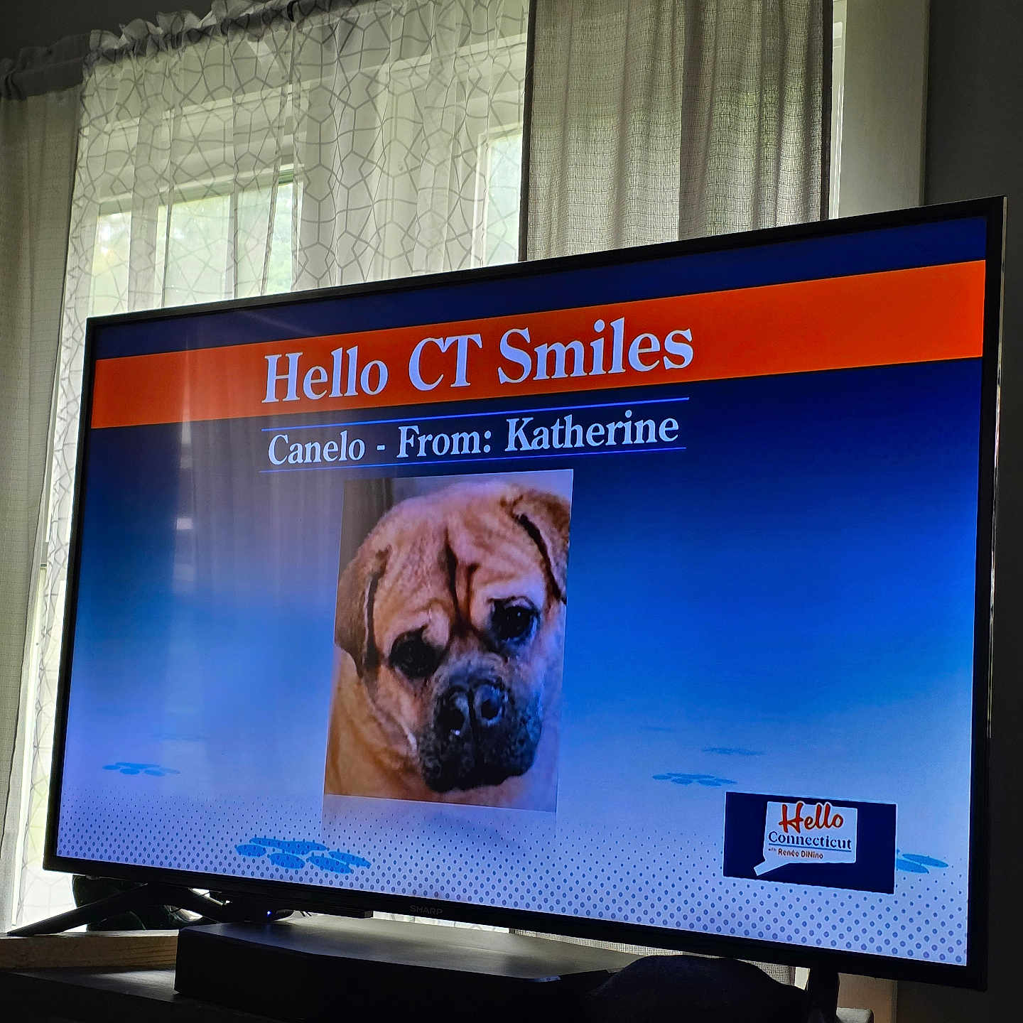 Canelo