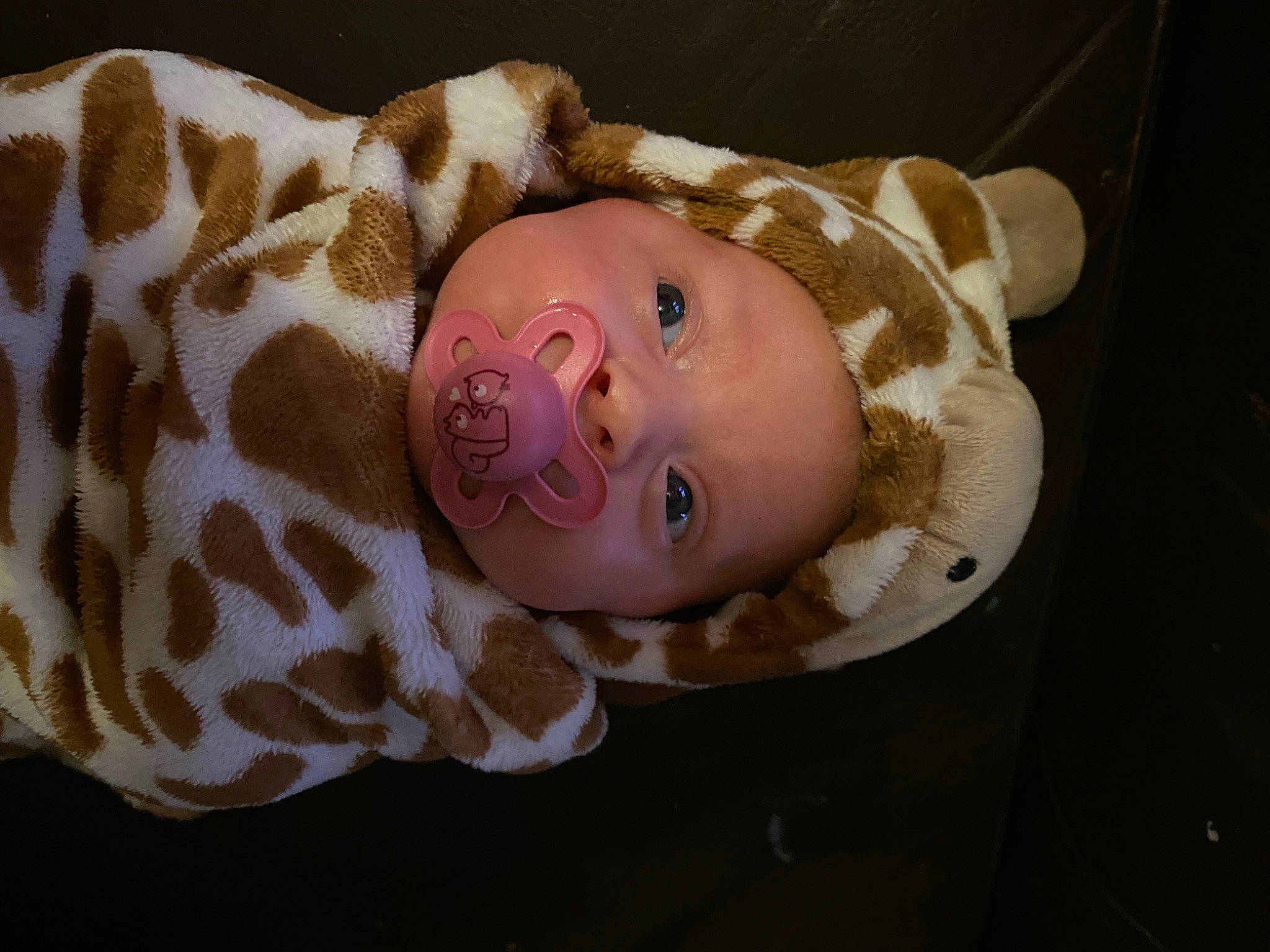 Addileigh-rose joined the competition — help win amazing prizes! baby, baby_products, baby_toddler_clothing, cheek, child, eye, eyelash, fashion_accessory, hair_accessory, head, headband, headpiece, iris, pattern, person, portrait_photography, sleeve, smile, toddler, wood