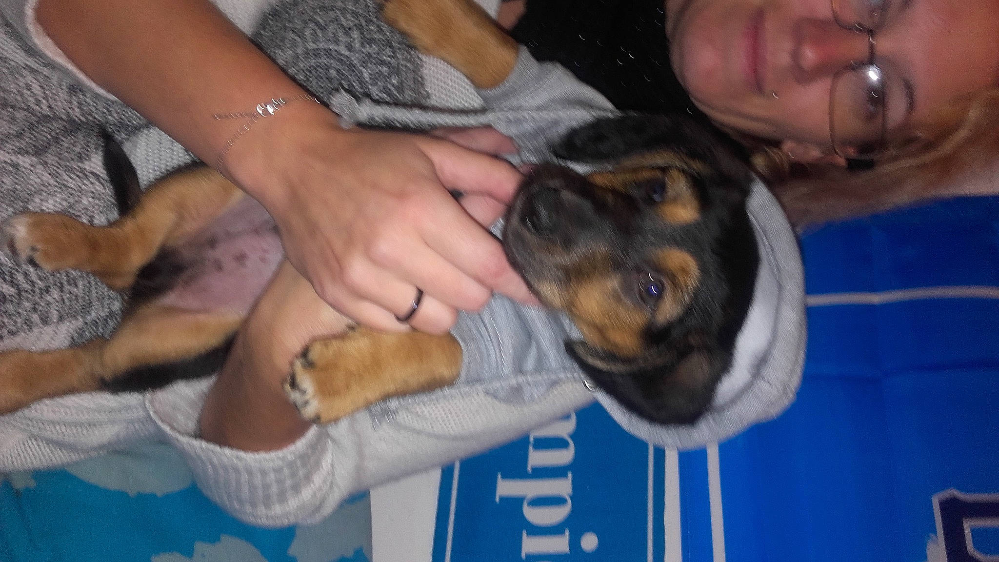 Massilia participe au concours pour gagner de l'argent avec cette photo : arm, brazilian_jiu_jitsu, canidae, carnivore, companion_dog, dog, dog_breed, ear, fawn, fur, gesture, japanese_martial_arts, mammal, martial_arts_uniform, nail, paw, shidokan, snout, sporting_group, wrist