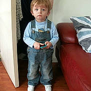 Timmy participe au concours pour gagner de l'argent avec cette photo :