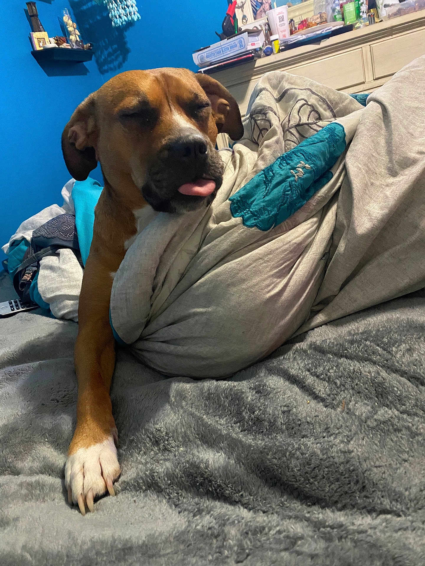 Daphne