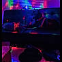 animal, cat, colorful_lighting, companion, couch, cozy, dark, dog, furniture, indoor, leash, living_room, multicolor, neon, night, pet, relaxing, room, shadow, window_blinds