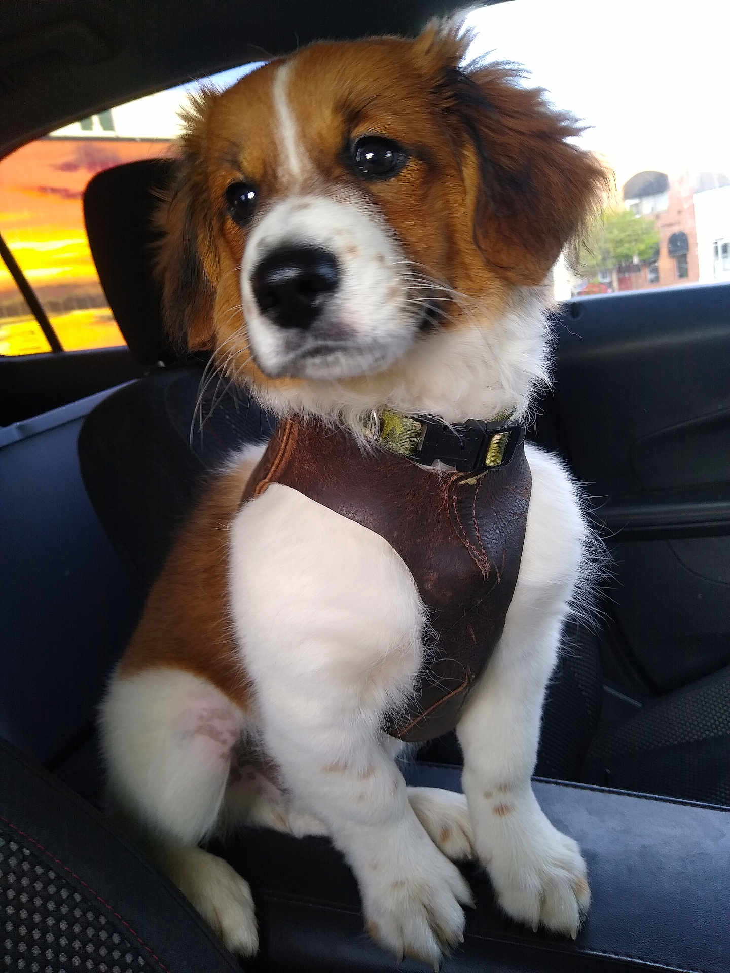 Bronson