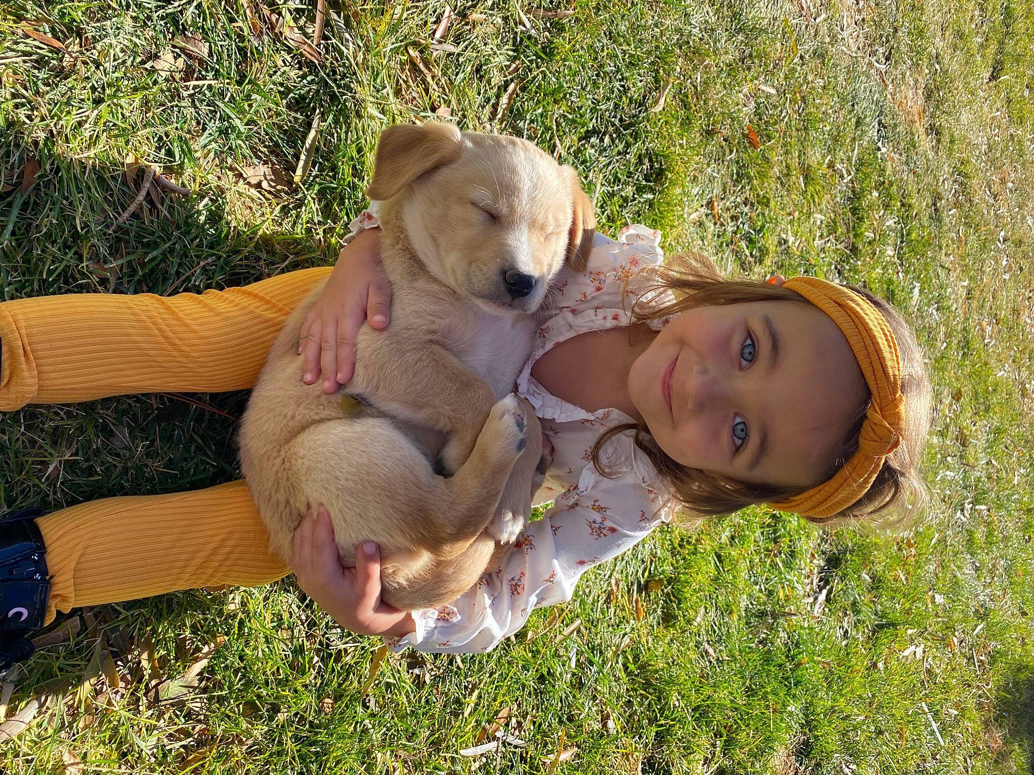 Kyra is registered to the contest to win money with this photo: baby, canidae, carnivore, companion_dog, dog, dog_breed, fawn, grass, grass_family, grassland, happy, hat, headwear, joy, leisure, people_in_nature, person, plant, sitting, smile
