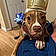 Roxi