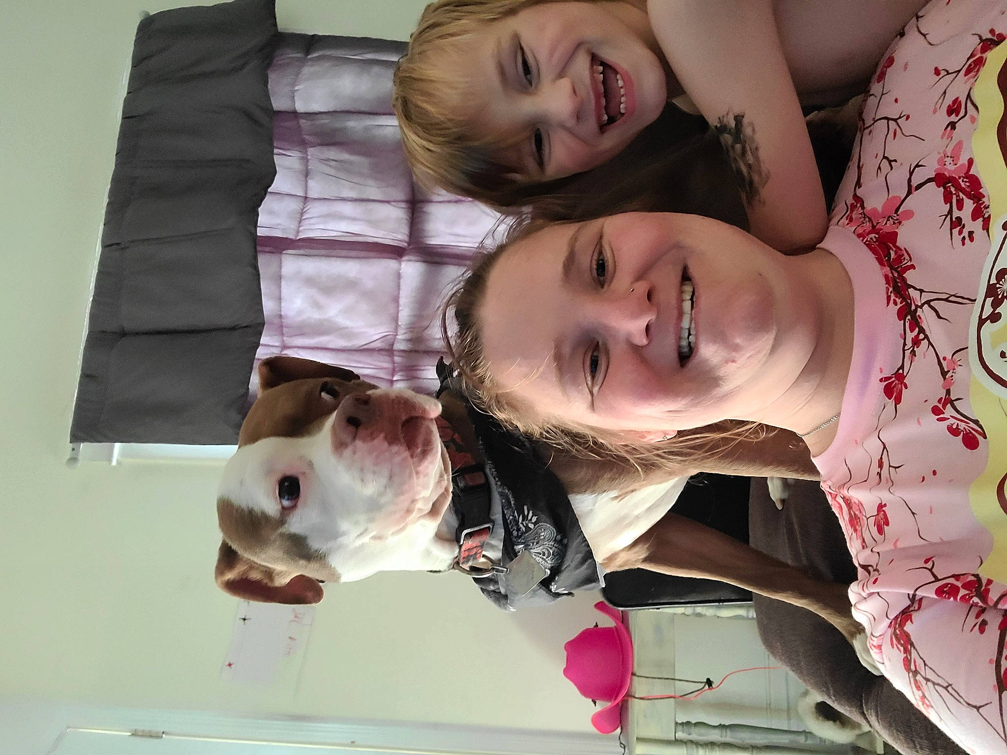 Chief is registered to the contest to win money with this photo: cheek, child, eyelash, face, facial_expression, flesh, fun, fur, gesture, hair_coloring, happy, jaw, laugh, mouth, nose, pink, skin, smile, textile, toddler